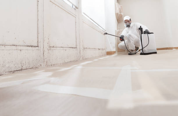 24/7 Emergency Mold Cleanup experts in Nashville, NC