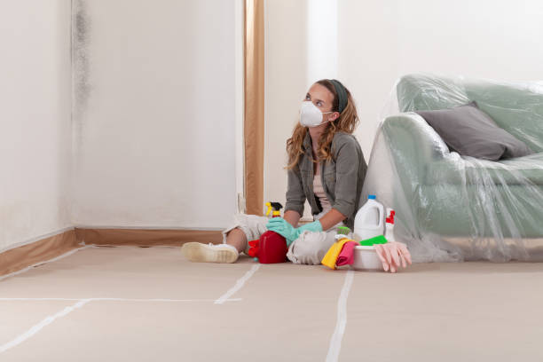 Reliable Mold Cleanup contractor in Nashville, NC by WQB Mold Removal
